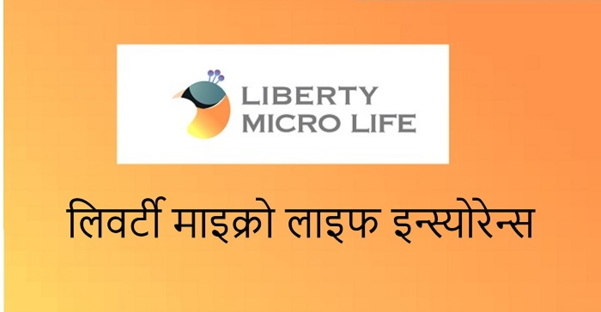 आईपीओ जारी गर्ने प्रस्तावसहित लिवर्टी माइक्रो लाइफले डाक्यो विशेष साधारणसभा 